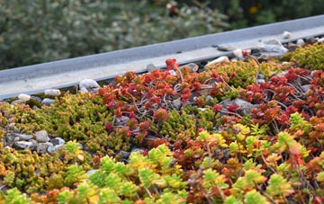 the cost of Combeinteignhead green roof installation