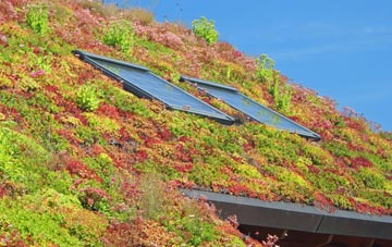 Combeinteignhead living roof systems